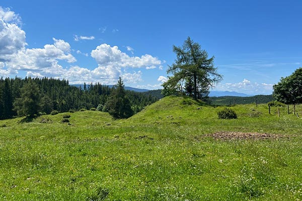 Blick auf die Berge und auf die Almwiesen