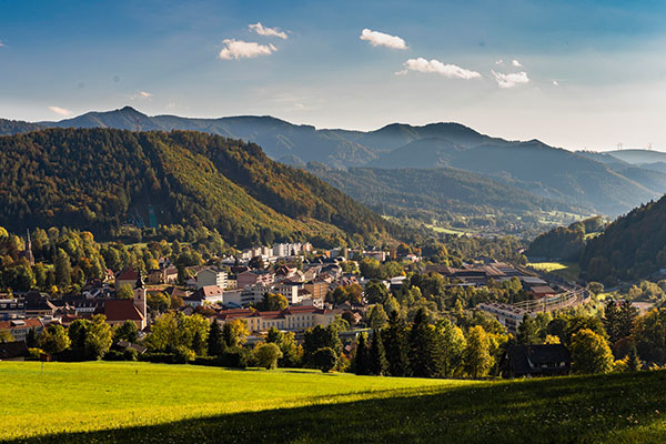 Das Bild zeigt die Stadt Mürzzuschlag, von einer Anhöhe aus fotografiert - eingebettet in Wald und Wiesen und umrahmt von den Mürztaler Bergen.