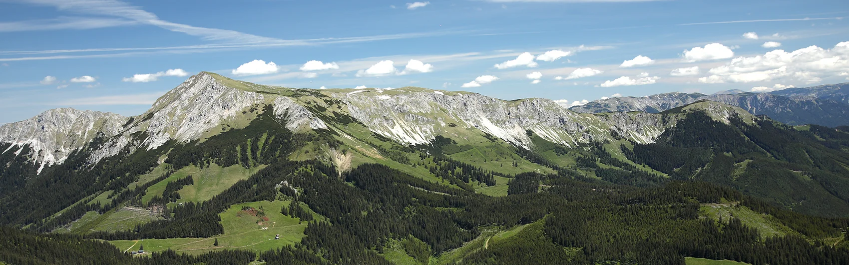 Blick auf ein Bergmassiv - Wälder und Hochplateau