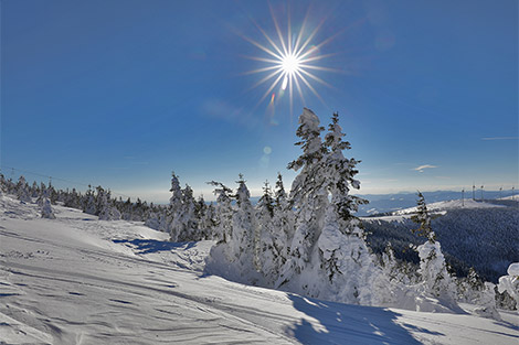 Sonniger Tag - Blick auf eine verschneite Landschaft mit schneebedeckten Fichten