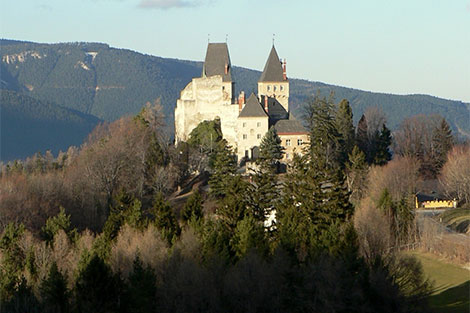 Blick auf die Burg Wartenstein